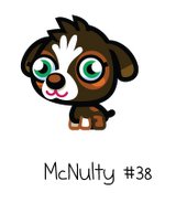 McNulty