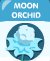 moon orchid