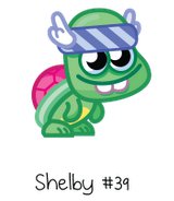 Shelby