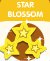 star blossom