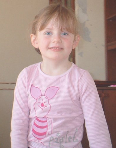 Image 17