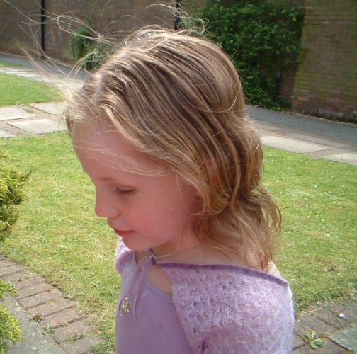 Image 8