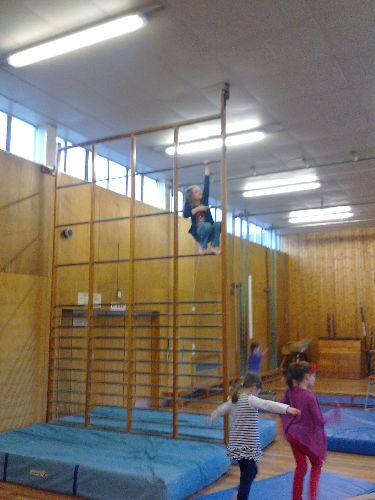 Image 5