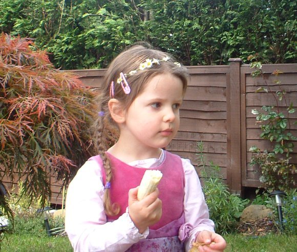 Image 15