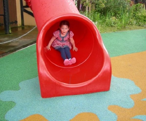 Image 8
