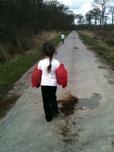 Image 15