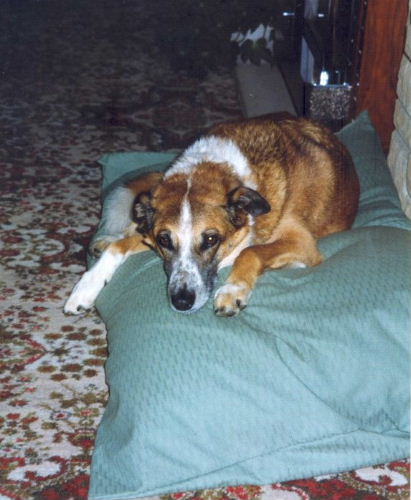 Image 2